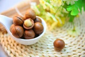 Ketogene Zwischenmahlzeit ketogene Snacks
